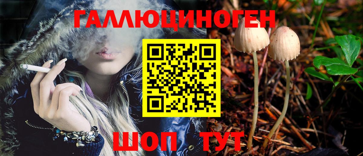 Галлюциногенные грибы Psilocybe  Вход с VPN  Барнаул 
