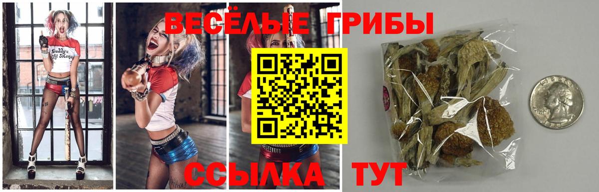 Псилоцибиновые грибы Cubensis Барнаул